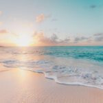 Tropical Packing - seashore during golden hour