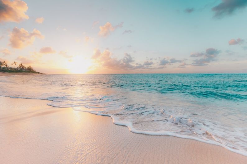 Tropical Packing - seashore during golden hour