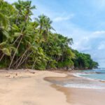 Tropical Island - landscape photography of seashore under cumulus clouds