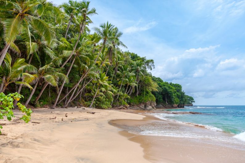 Tropical Island - landscape photography of seashore under cumulus clouds