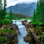 Rainforest Waterfall - green pine trees near river during daytime