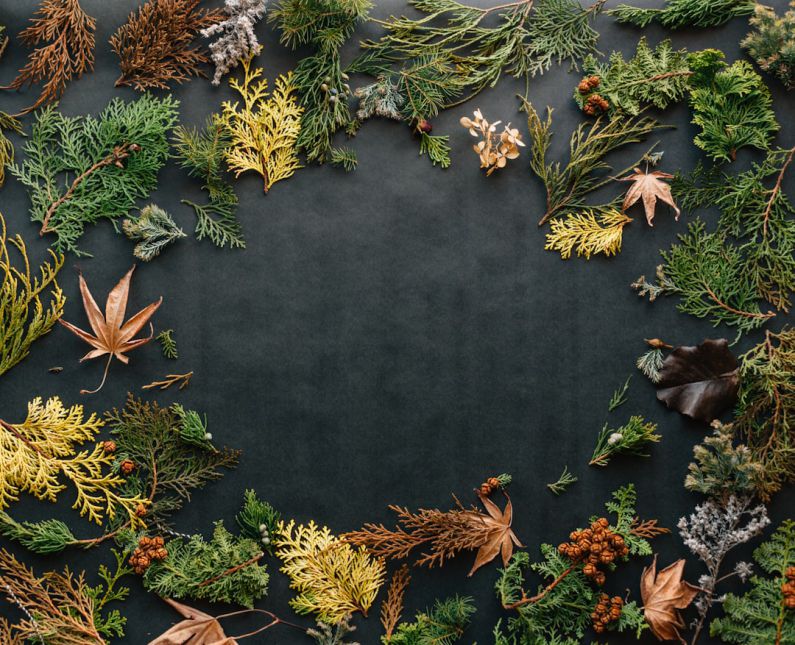 Beach Autumn - assorted leaves on black textile