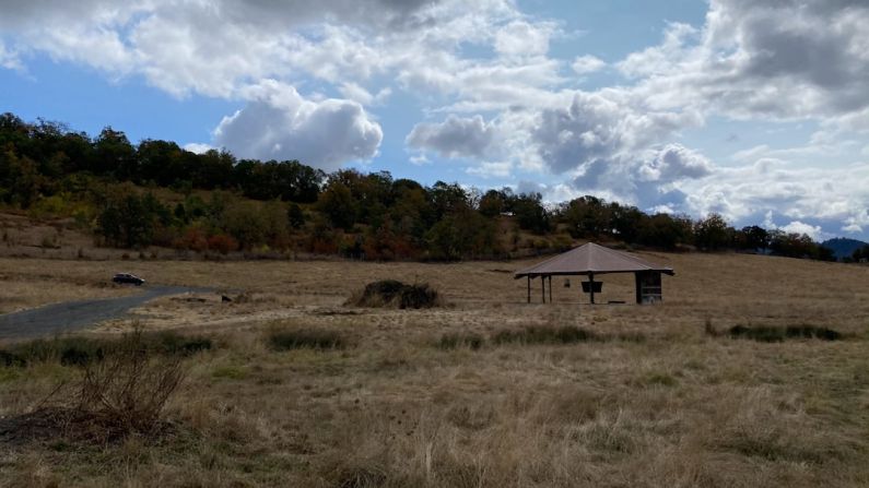 Wildlife Safari - brown and white house on green grass field under white clouds and blue sky during daytime