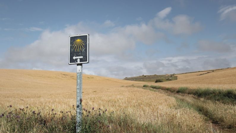Pilgrim Walk - no smoking sign on brown grass field under blue sky during daytime