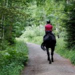 Horseback - man in red jacket riding black horse on road during daytime
