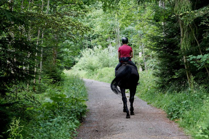 Horseback - man in red jacket riding black horse on road during daytime