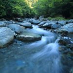 Rafting River - body river surrounded by dress