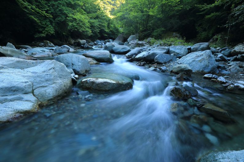 Rafting River - body river surrounded by dress