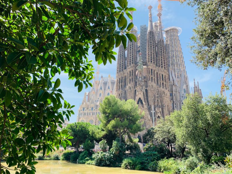 Sagrada Familia - green trees near brown concrete building during daytime