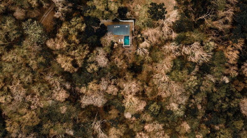 Caribbean Villa - blue and white house in the middle of forest