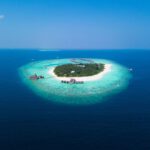 Private Island - island surrounded with water with trees