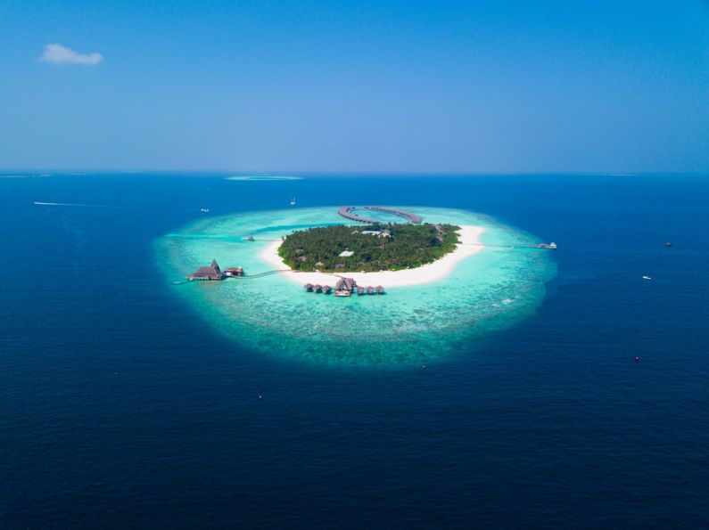 Private Island - island surrounded with water with trees